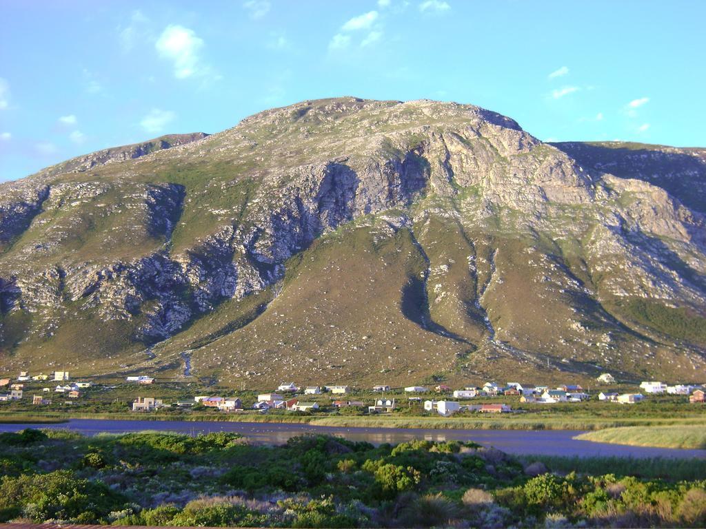 Vlei Studio Daire Bettyʼs Bay Dış mekan fotoğraf