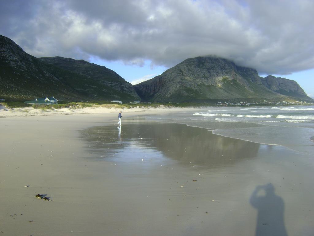 Vlei Studio Daire Bettyʼs Bay Dış mekan fotoğraf